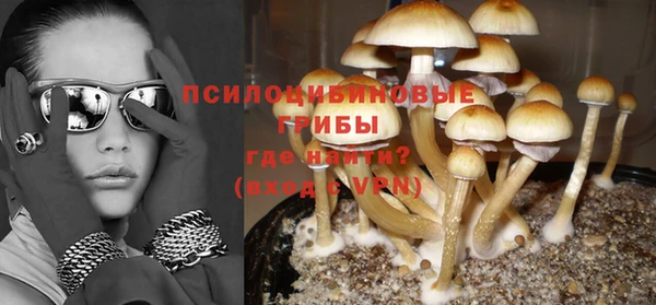 стафф Волосово