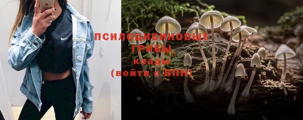гашиш Волоколамск